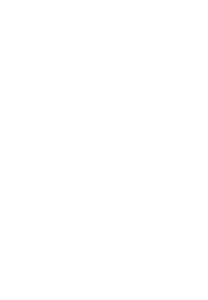 Puerta Maya